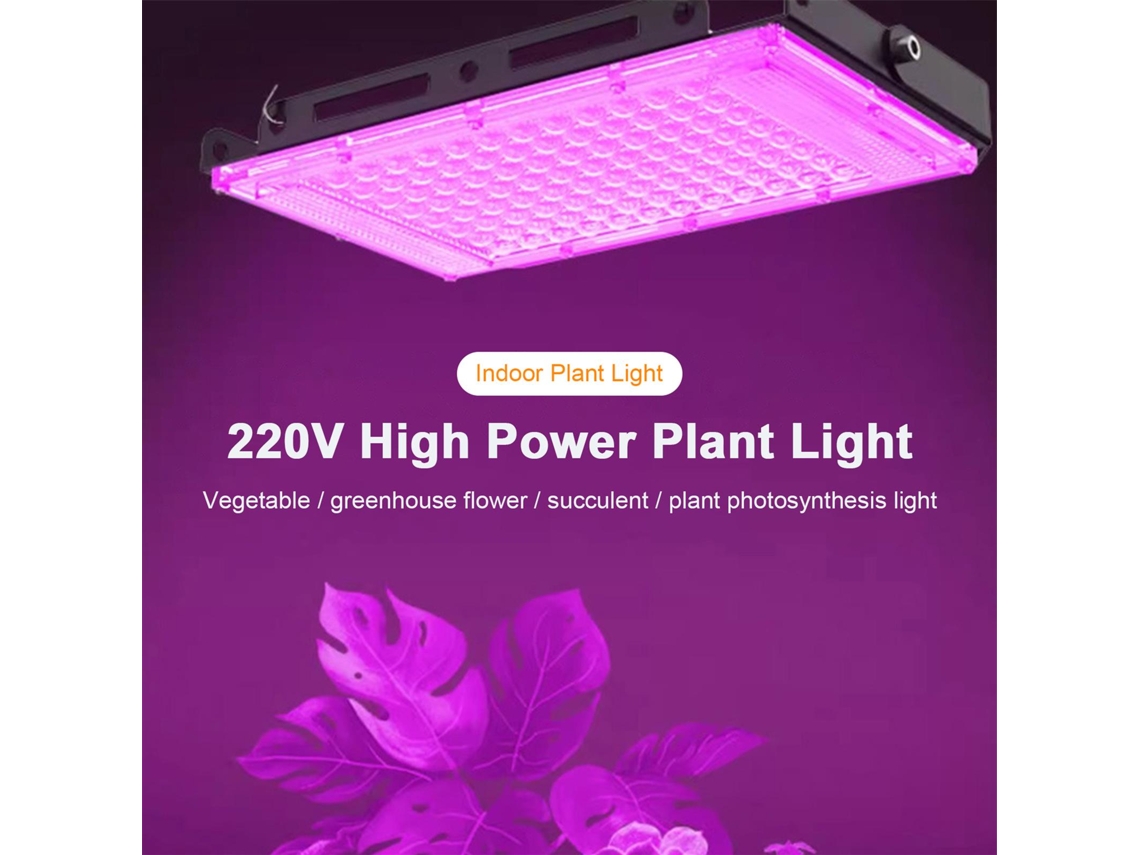2026 lâmpada Led de Crescimento de Plantas Interna de Espectro Completo para Suculentas e Mini Bonsai