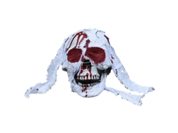 1 Peça de Caveira de Plástico para Presentes de Halloween ALLINLESS