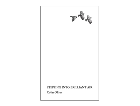 Livro Stepping Into Brilliant Air De Colin Oliver (inglês)