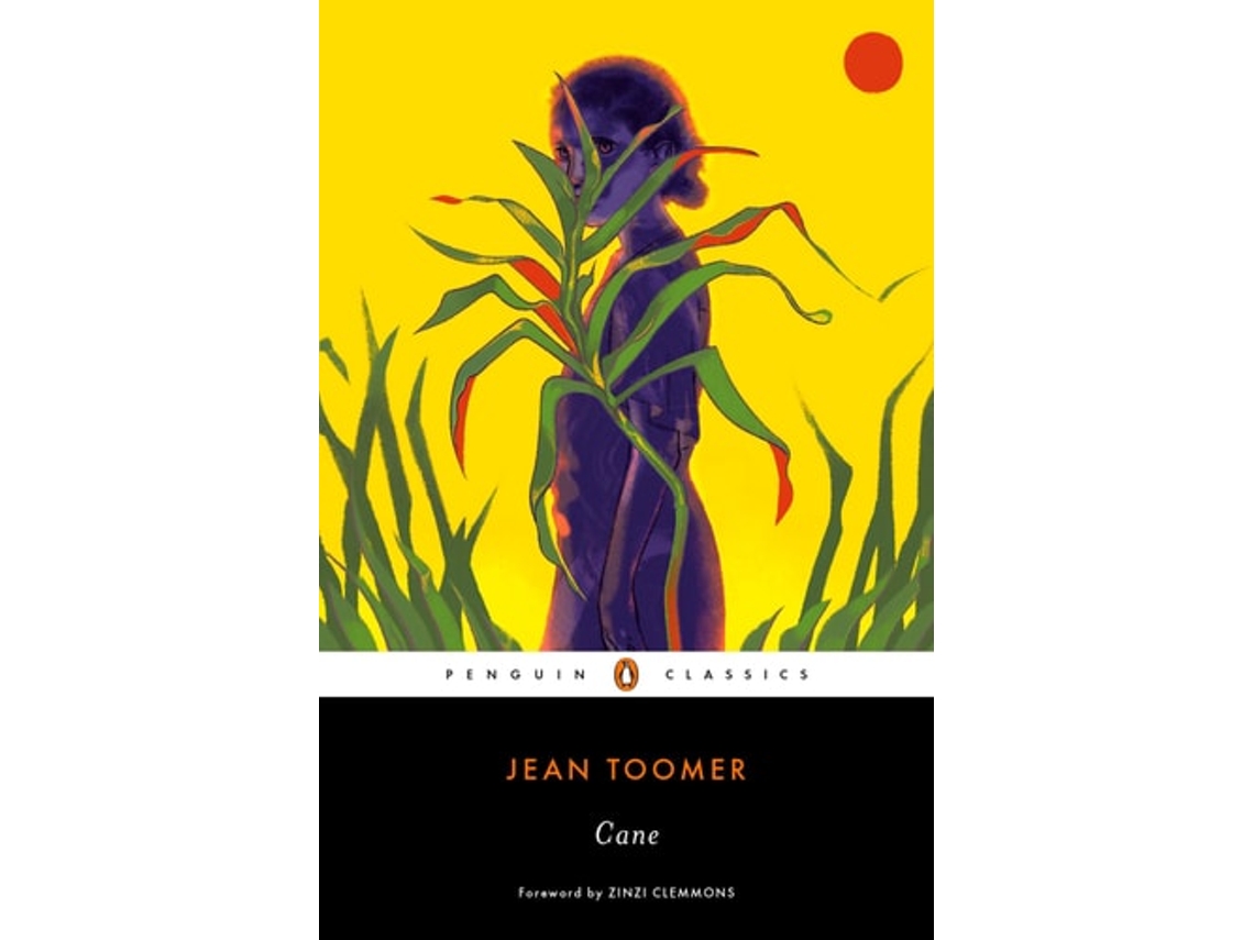Livro Cane de Jean Toomer