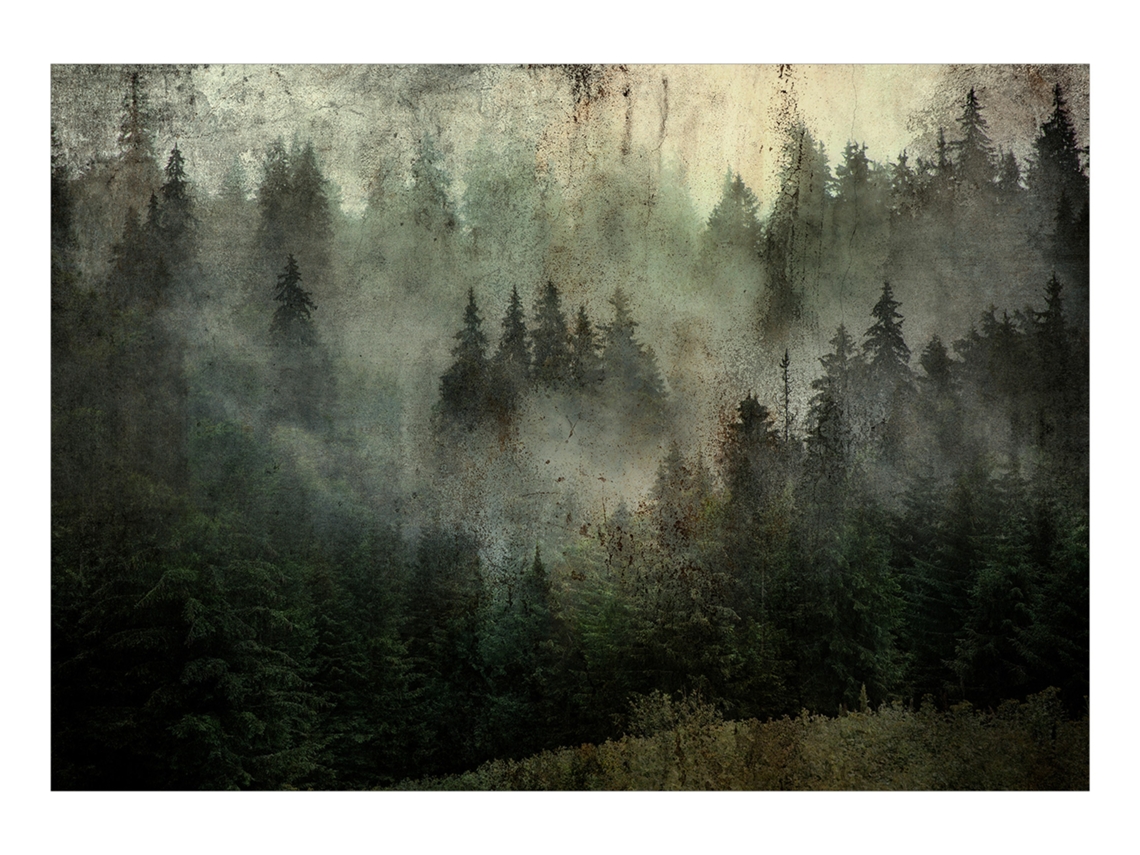 Papel de Parede ARTGEIST Misty Beauty of the Forest (392x280)