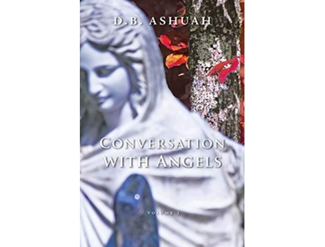 Livro Conversation with Angels Volume I de Dror B Ashuah (Inglês)