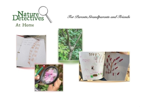 Livro Nature Detectives at Home de Janice Kelley (Inglês)