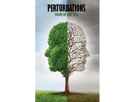 Livro Perturbations De Gary Beck (inglês)