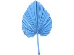 Palmeira Ornamental Para Casamentos, Arranjos De Janelas E Festas, Tanto Para Ambientes Internos Qua Gokoco