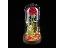 Rosa Eterna Com Cúpula De Vidro E Luzes Integradas