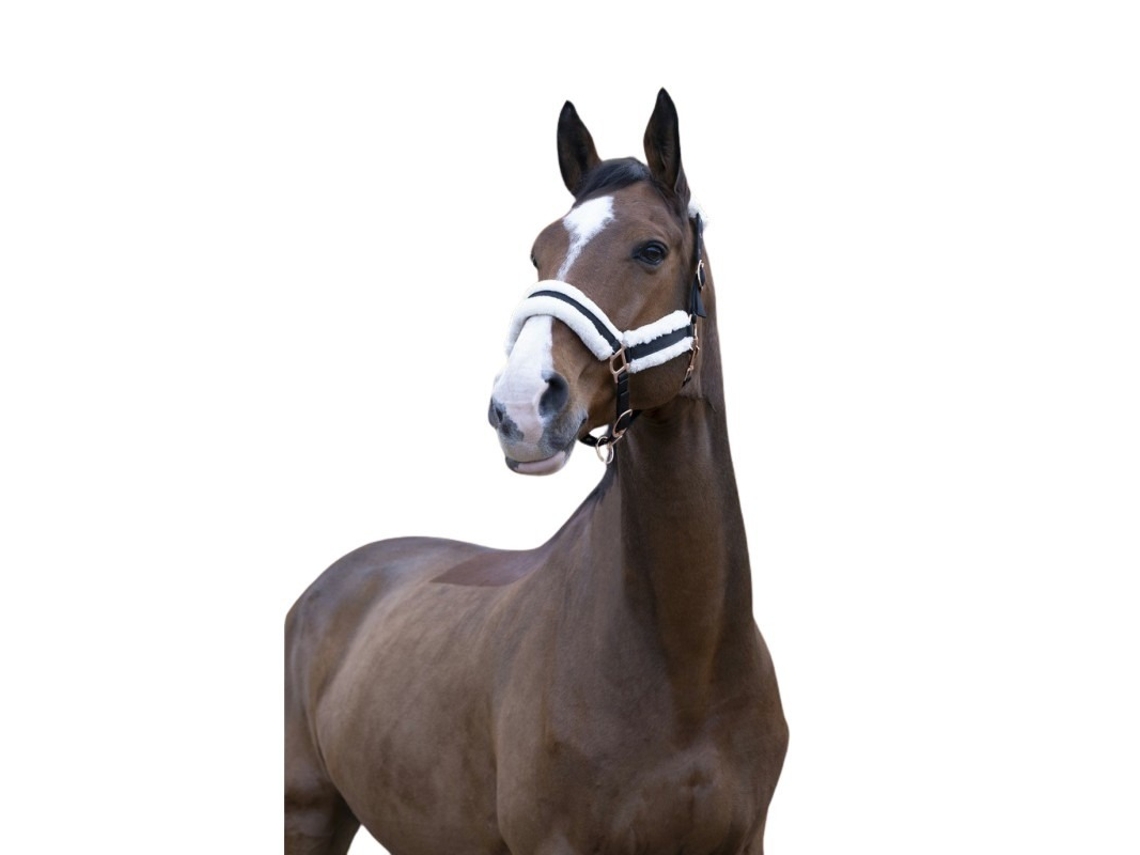 Cabresto para cavalos Norton Confort