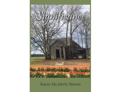 Livro Significance De Karen Mcaferty Morris (inglês)