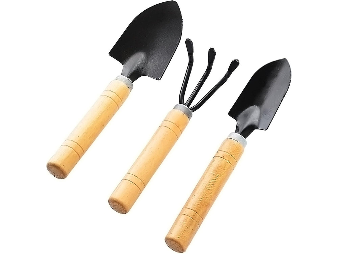 Conjunto de herramientas de jardín mini, 3 piezas con mango de madera, anti ferrugem, para plantas en vasos | S/MARCA