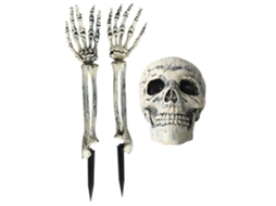 Decoração de Halloween Esqueleto Brilhante | S/MARCA
