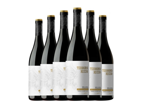 Vinho branco TEODORO RECIO Acariciado Verdejo Rueda (0.75 L - 6 Unidades)