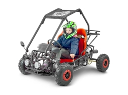 Carrinho De Criança De 110cc, 2 Lugares, 4 Tempos