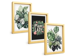Pinturas Murais Modernasplantas Tropicais, Senhora Das Plantas Moldura Dourada Fotos Para O Corredor Espelharte (3 Peças 20x30 Cm)
