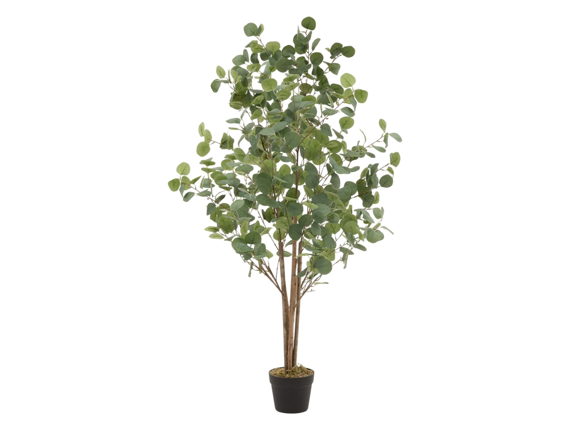 Eucalipto Artificial 150 Cm Planta Artificial Com Tronco De Madeira Natural