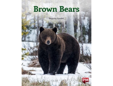 Livro Brown Bears De Beverley Randell (inglês)