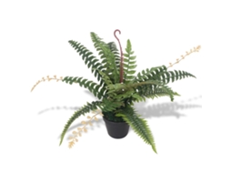 Artificial Plant, Artificial Plants Vidaxl Verde Plástico (n/a)