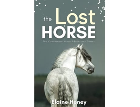 Livro The Lost Horse De Elaine Heney (inglês)