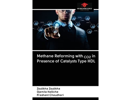 Livro Methane Reforming with CO2 in Presence of Catalysts Type HDL de Zoulikha Zoulikha, Djamila Halliche et al. (Inglês)