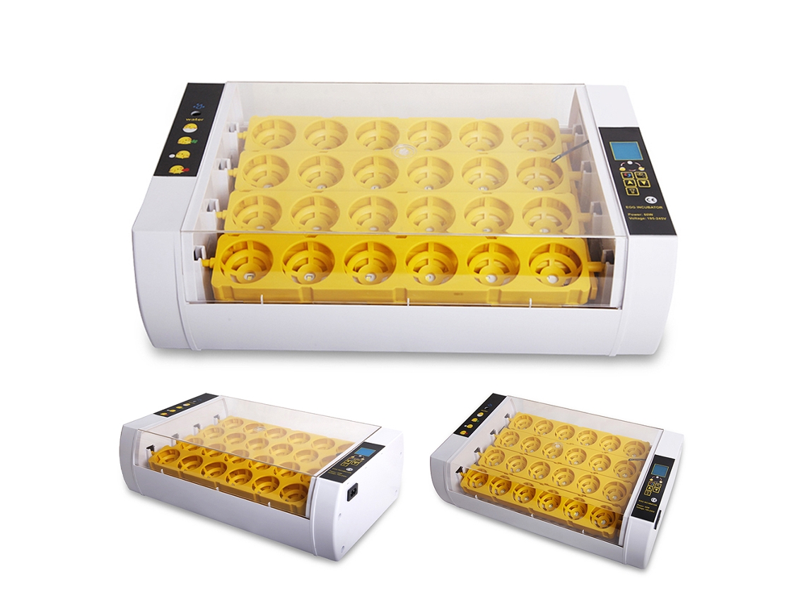 Incubadora LAXISCREED 24 Ovos com Giro Automático