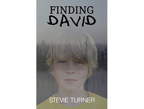 Livro Finding David A Paranormal Short Story de Stevie Turner (Inglês)