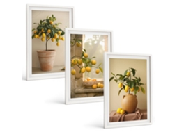 Quadros Decorativos Para Parede Limoeiros Em Vasos Moldura Branca Quadros Para O Escritório Espelharte (3 Piezas De 40x60 Cm)
