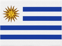 Manta de Flanela Ultramacia Phayah com Estampa da Bandeira do Uruguai Ideal para Sofá Cama Sala Estar Escritór