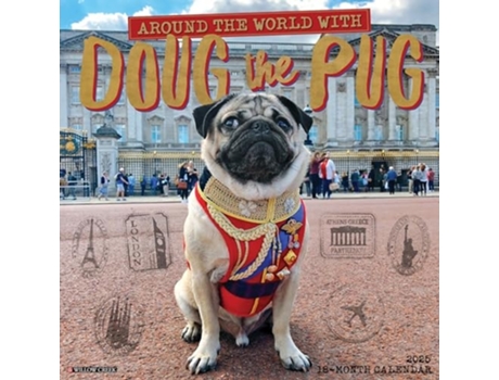 Livro Doug the Pug 2025 12 X 12 Wall Calendar de Willow Creek Press (Inglês)