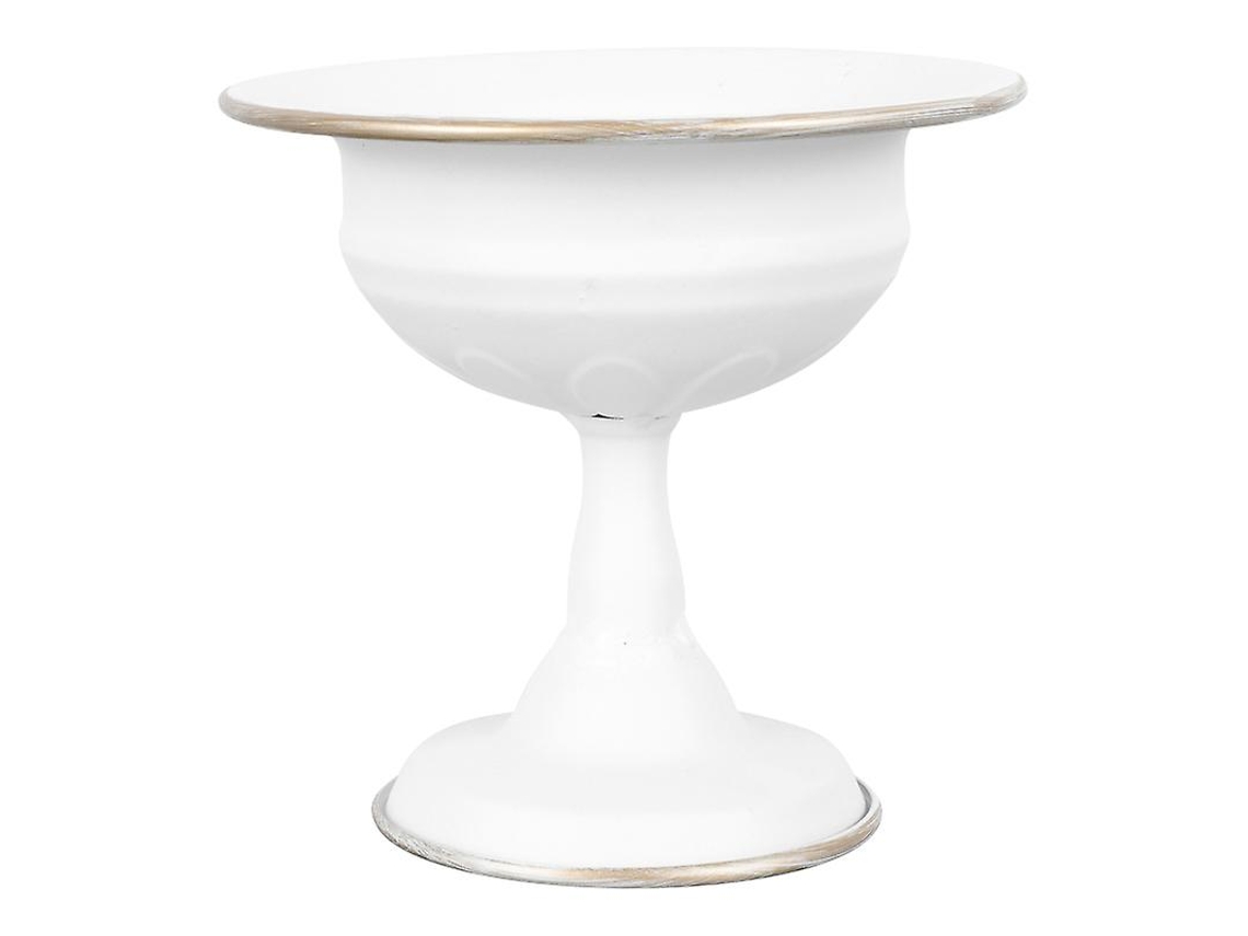 Vaso de Plantas Suculentas de 1 Unidade ALLINLESS