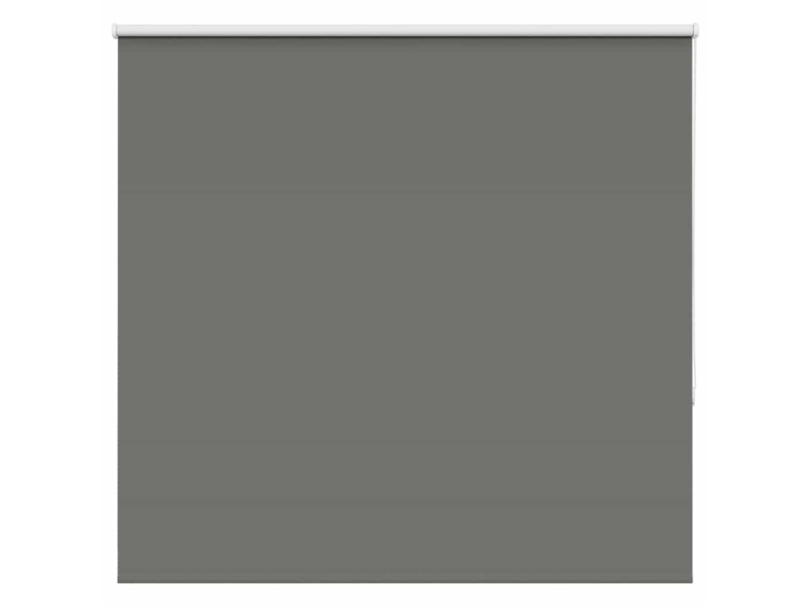 Roller Blind, Roller Blinds Vidaxl Cinzeto Poliéster (n/a)