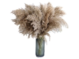 Capim dos pampas, 20 Unidades de 60 Cm, Natural, Seco, Buquê de Casamento Moderno, Flores Artificiais para Decoração de Casa e Vasos. AQUAFORGE