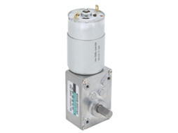 Motor de Engrenagem de Minhoca 24v Alta Torção S/MARCA