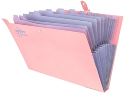 Pasta De Bolso A4, Pasta De Documentos A4 Expansível E Portátil Aquaforge