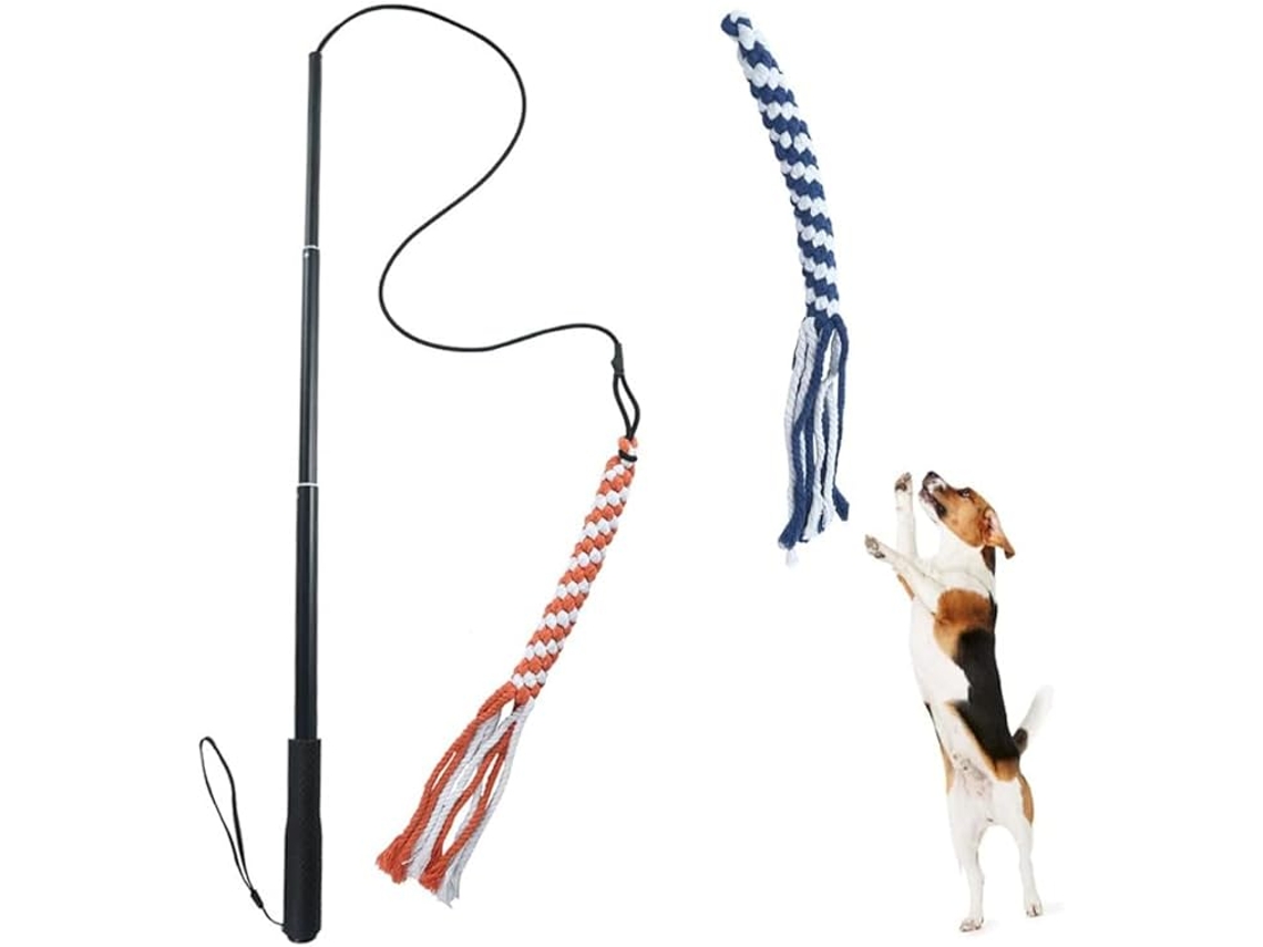 Colar Cono Ajustável 47-53 Cm ZYBLSSBB