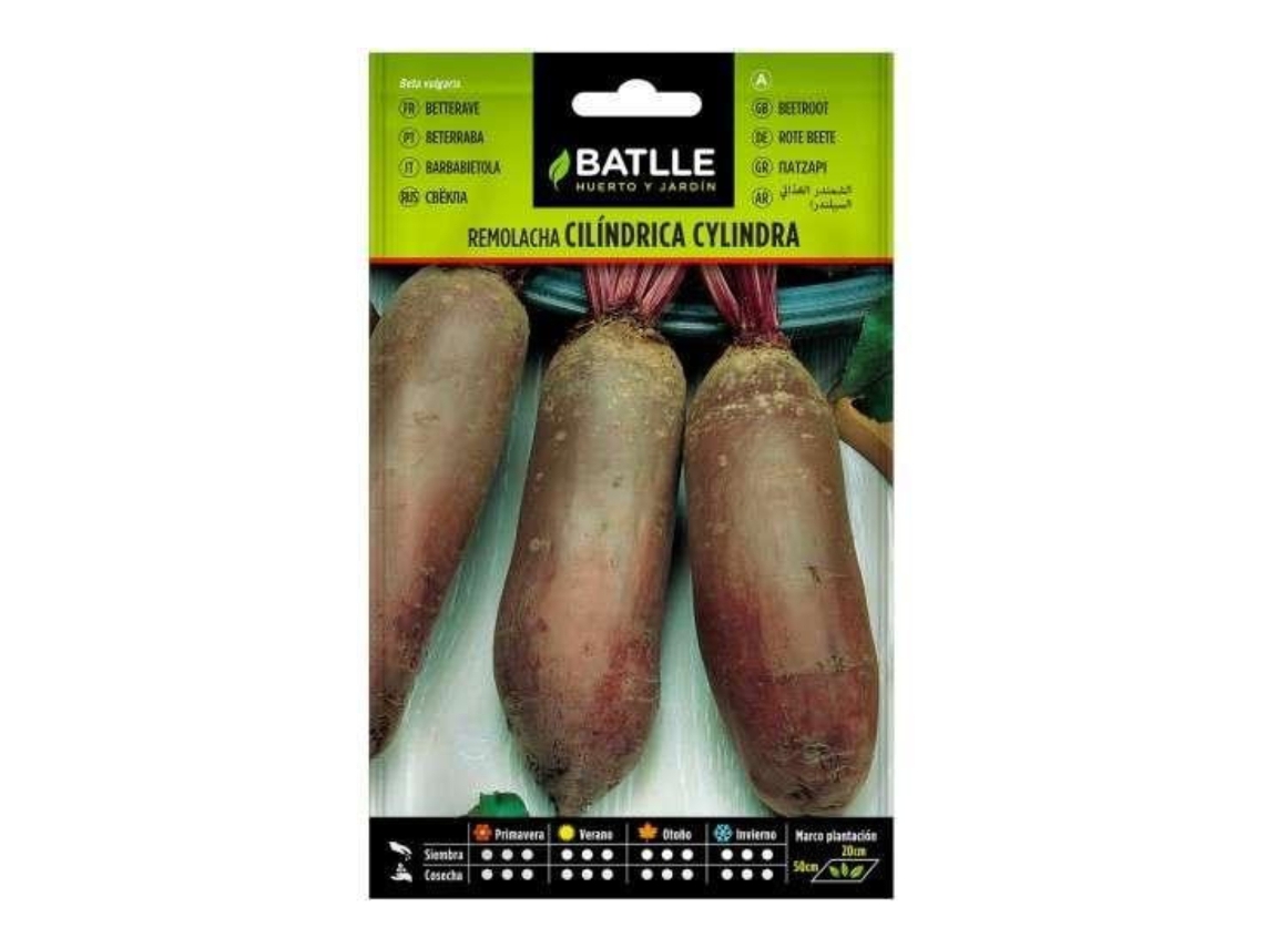 Sementes de Beterraba Cylindra BATLLE