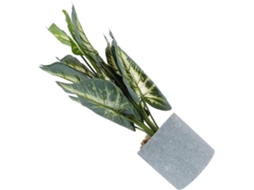 1 Bonsai Decorativo Verde Para Escritório, Vaso Artificial Com Centro