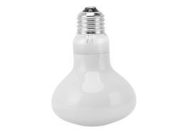 Lâmpada Para Répteis Com Aquecimento E Luz Suave