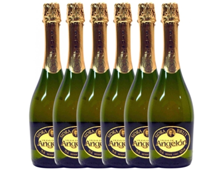 Sidra VIUDA DE AGELÓN POMAR Brut 0.75L (6 unidades)