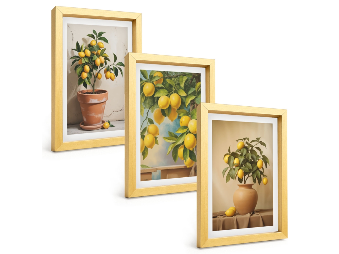 Composição De Quadros Na Paredelimoeiros Em Vasos Moldura Dourada Quadros Para A Sala De Estar Espelharte (3 Peças 20x30 Cm)