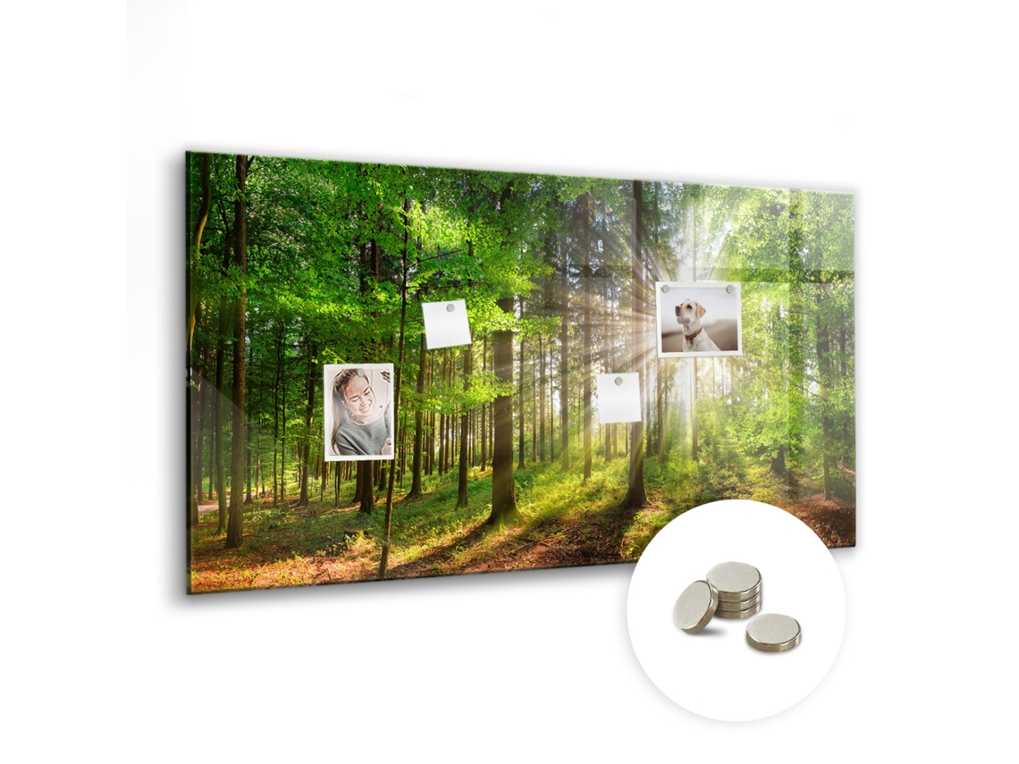 Quadro De Vidro Magnético Floresta Nascer Do Sol Para A Cozinha Espelharte (120x60 Cm)