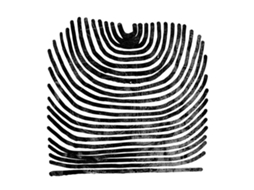 CD Rival Consoles - Howl