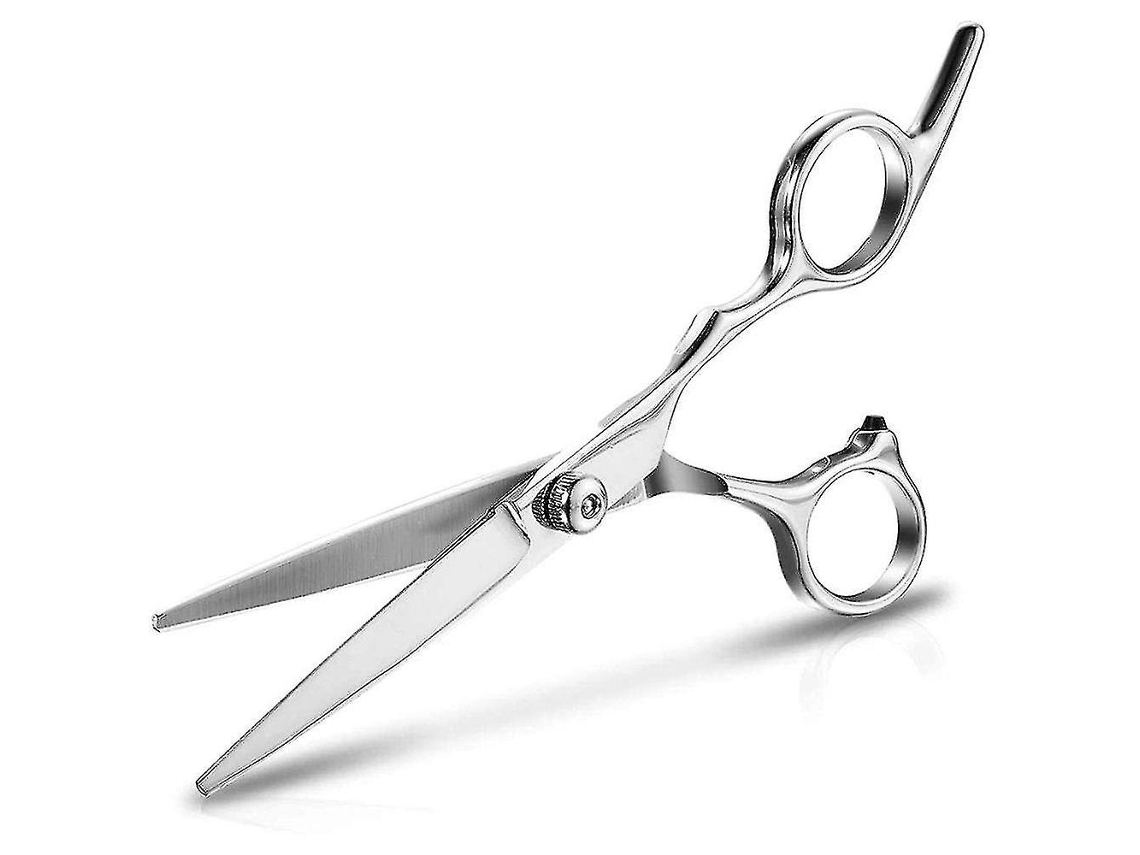 Tesoura De Cabeleireiro Profissional Extra Afiada De 6 Polegadas, Corte De Precisão, Tesoura De Aço Inoxidável Brilvibera