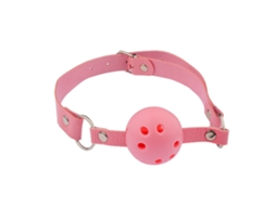 Juguetes Eróticos Bdsm Para Parejas: Collar, Mordaza, Restricciones Y Plug Anal