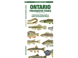 Livro Ontario Freshwater Fishes De Matthew Morris (inglês)