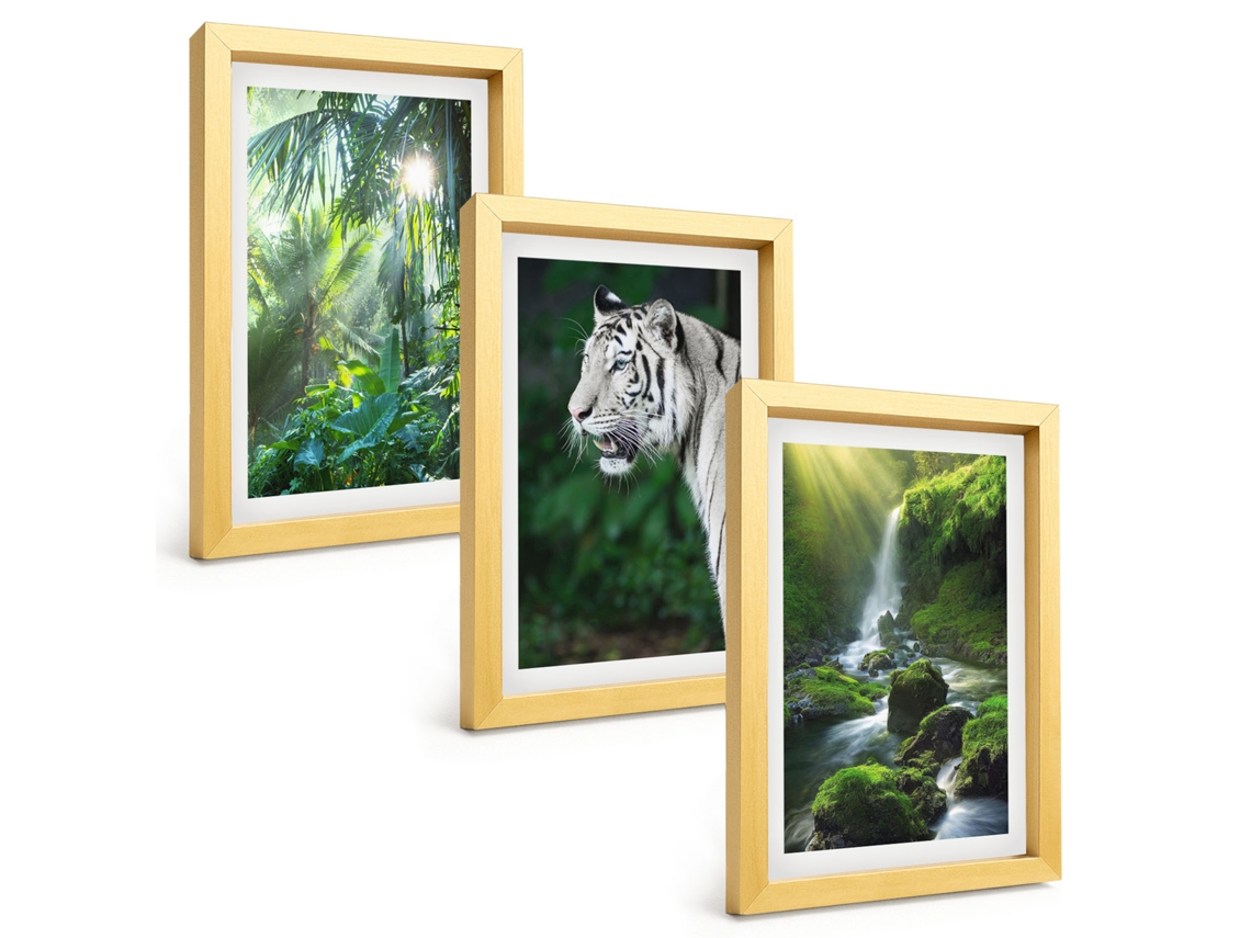 Pinturas Murais Modernasselva, Tigre, Cachoeira Moldura Dourada Fotos Para O Corredor Espelharte (3 Peças 20x30 Cm)