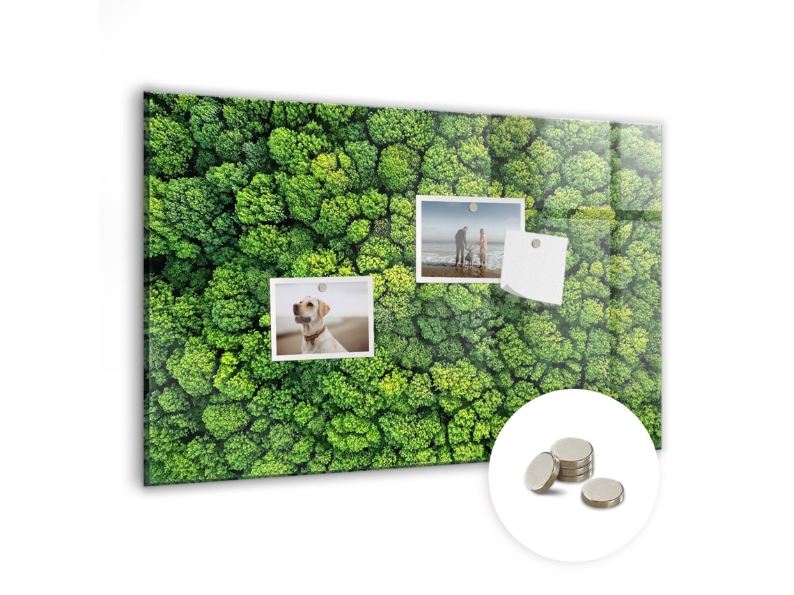 Lousa Magnética Vista Aérea Da Floresta Para O Quarto Das Crianças Espelharte (60x40 Cm)