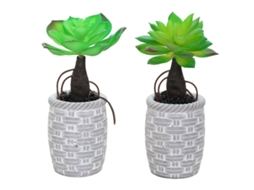 2 Peças de Mini Plantas Suculentas Simuladas em Vaso Ornamentos Criativos Pequenos Plantas Artificiais NEVEANCE
