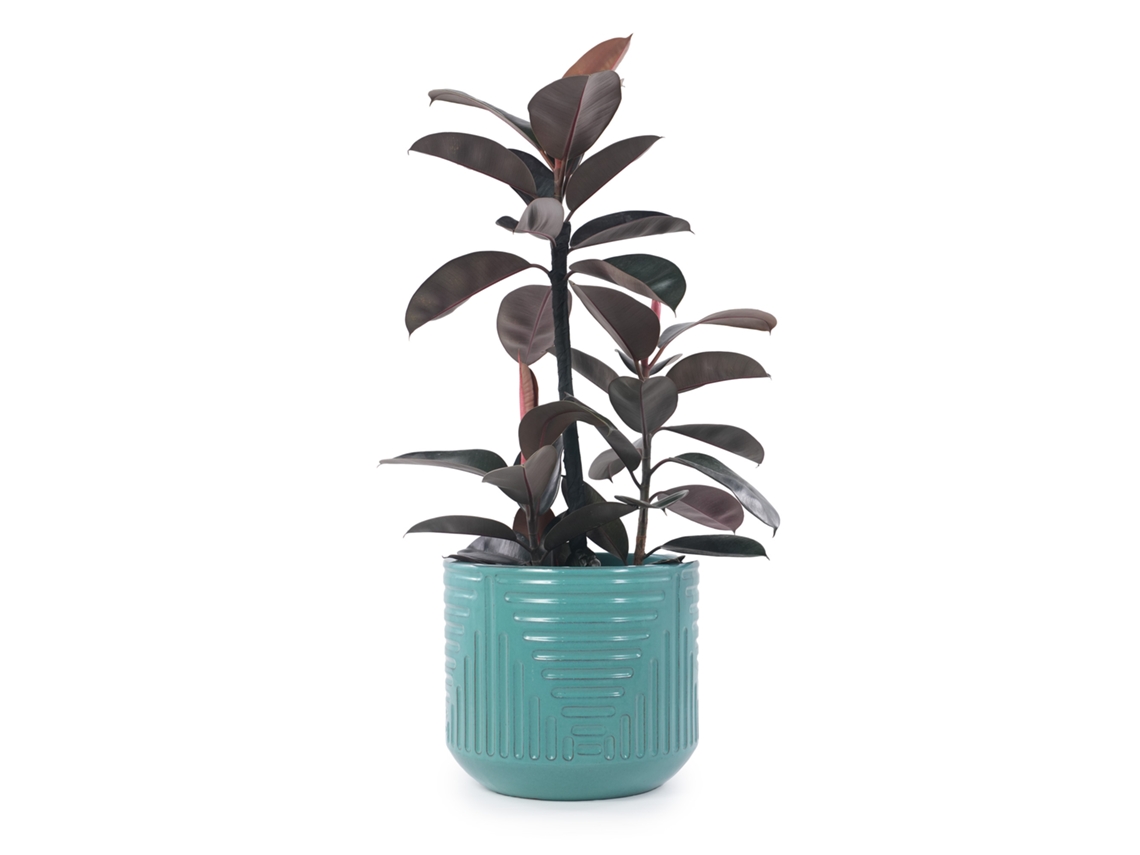 Vaso Grande De Cerâmica Ø42cm, Esmaltado Artesanal Turquesa-verde Com Ranhuras Geométricas, Respirável, Anti-gelo E Drenagem, Palmeiras E Ficus