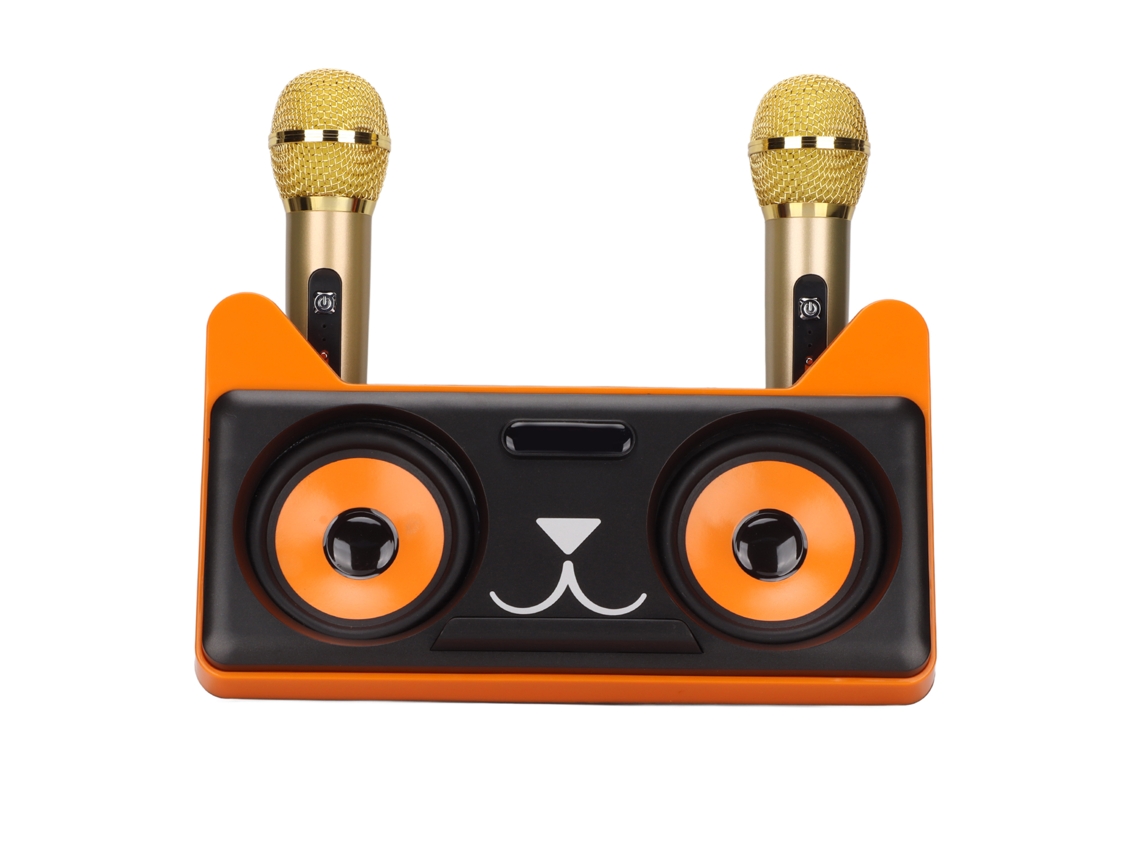 Alto falante Bluetooth Portátil com 2 Microfones Sem Fio LAXISCREED