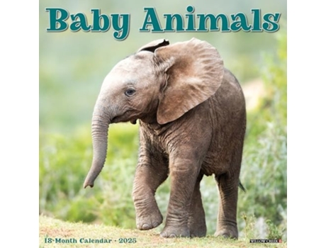 Livro Baby Animals 2025 12 X 12 Wall Calendar de Willow Creek Press (Inglês)