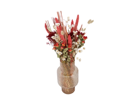 Flores Secas PLANT IN A BOX Lagurus Rhodanthe Roses Setarea Broom Bloom Conjunto de 1 Pote Cm Altura 55Cm